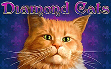 Diamond Cats oyun avtomatı