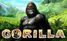 Gorilla slot maşını