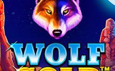 Wolf Gold slot maşını