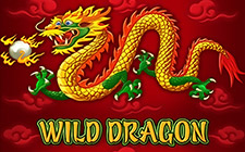 Wild Dragon slot maşını