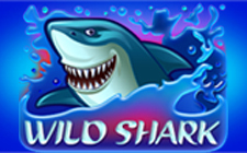 Wild Shark slot maşını